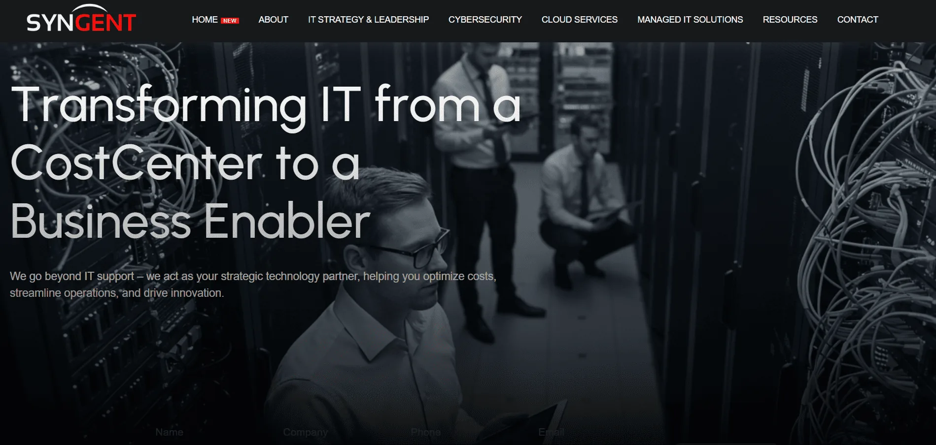Screenshot of Syngent - Technology Solutions project by Ramedia